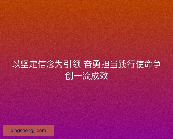 以坚定信念为引领 奋勇担当践行使命争创一流成效