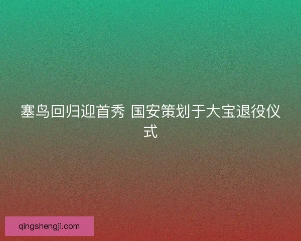 塞鸟回归迎首秀 国安策划于大宝退役仪式